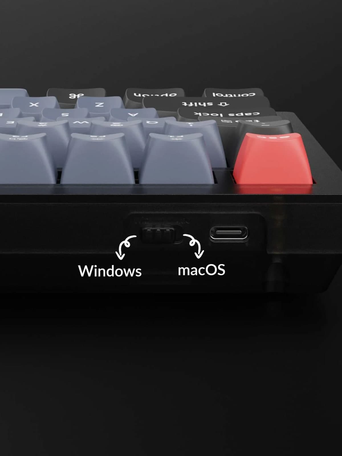 Keychron: The Tactile Path to Cognitive Clarity and Ergonomic Harmony