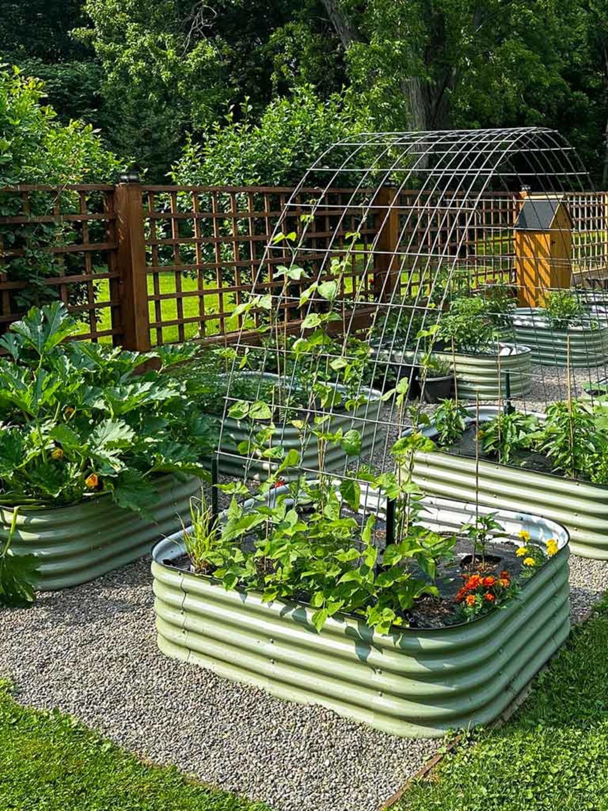 Vegega: Elevating Home Gardening with Smarter Raised Garden Beds for Healthier Living